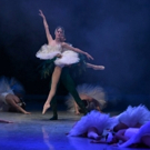 Vuelve El Lago De Los Cisnes, Un Ballet Que Nos Recuerda Que 'Siempre Habrá Alguien  Video