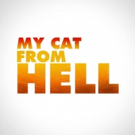 Animal Planet Announces the Return of MY CAT FROM HELL  with Jackson Galaxy Photo