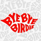 NBC Again Delays Production of BYE BYE BIRDIE LIVE Until 2019 Photo