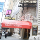 Fun Facts About All 41 Broadway Theatres Video