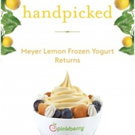 Pinkberry Fans Vote To Bring Back Meyer Lemon This Spring Photo