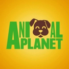 Animal Planet's Puppy Bowl Hits Highest Ratings Ever This Year Photo