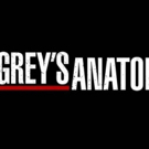ABC Renews GREY'S ANATOMY For Season 15 Video