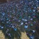 WAIT WAIT...DON'T TELL ME LIVE! Taping To Be Held At Blossom Music Center