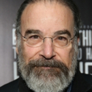 Annaleigh Ashford, Mandy Patinkin, Phillipa Soo and More to Appear at Williamstown…
