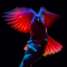 Albie Selznick's MONDAY MAGIC Extends at Santa Monica Playhouse Thru Oct. 1 Video