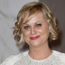 Netflix Announces Film WINE COUNTRY With Amy Poehler To Direct, Star and Produce Video
