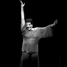 BWW Poll Results: Readers Think Liza Minnelli Should Receive a Kennedy Center Honor Photo
