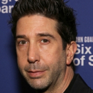 David Schwimmer to Guest Star on WILL & GRACE as Debra Messing's Love Interest