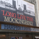 Meet the Cast of TO KILL A MOCKINGBIRD- Now in Previews!