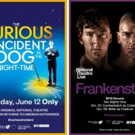 THE CURIOUS INCIDENT OF THE DOG IN THE NIGHT-TIME and FRANKENSTEIN Are Coming to Cine Photo