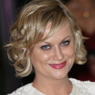 Amy Poehler Options AIDS Novel, THE GREAT BELIEVERS