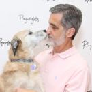 William Berloni Will Judge the 2019 American Rescue Dog Show This Weekend Photo