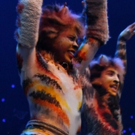 National Tour of CATS Plays Record-Breaking Engagement In Denver Video