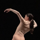 BWW Review: NEW MOVES 2019 at Kansas City Ballet Photo