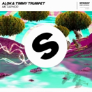 Alok & Timmy Trumpet Release METAPHOR Via Spinnin' Records Video