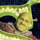 SHREK THE MUSCAL will hit Norway this fall Photo