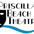 THE LAST FIVE YEARS, DAMN YANKEES and More Set for Priscilla Beach Theatre's 2018 Sea Photo