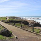 A First-Timer's Guide to Cambria in the Off-Season Photo