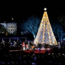 National Christmas Tree to Be Lit in President's Park 11/30 Video