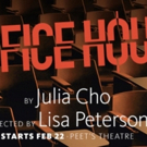 VIDEO: Hear Director Lisa Peterson Give Her Thoughts on OFFICE HOUR at Berkeley Rep! Video