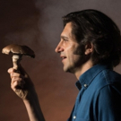 Greenhouse Theater Center Announces New Dates for THE MUSHROOM CURE Photo