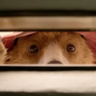  VIDEO: Watch Just-Released Trailer for PADDINGTON 2 Video