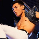 ZIRK! Previews Now On Sale At Very Special Prices