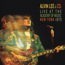  Alvin Lee & Co.: Live At The Academy Of Music 1975 Photo