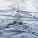 BPA Gallery Announces June 7 First Friday Art Walk: 'Visions In Nature'