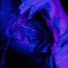 BWW Feature: The New York Butoh Institute Festival 2018 Showcases Women and…