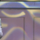 BWW Review: DIRTY ROTTEN SCOUNDRELS at Candlelight Music Theatre