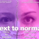 BWW Review: NEXT TO NORMAL at Bootless Stageworks Photo