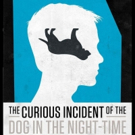 KCRep Announces Sensory Performance of THE CURIOUS INCIDENT OF THE DOG IN THE NIGHT-T Video