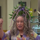 Netflix Shares Trailer & Key Art for Original Series DISJOINTED Part 2, Starring…
