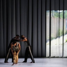 BWW Dance Interview: Kyle Abraham Talks Live! The Realest M.C and More!