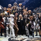 Global Roundup 3/14: Britney Musical Comes To Chicago, Alice Ripley in INTO THE WOODS, DIANA Reviews, and More! Image