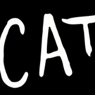 CATS Will Return To Chicago in July 2019 Video