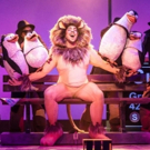 BWW Review: MADAGASCAR THE MUSICAL, New Wimbledon Theatre Photo