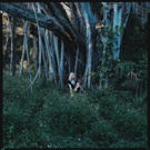Vesper Wood Announces Solo Debut Album Out 3/1 + Shares “Descend” w/ PopMatter Photo