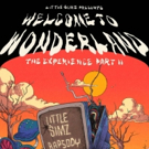 Little Simz Presents WELCOME TO WONDERLAND: THE EXPERIENCE PART 2 Video