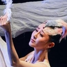 BWW Dance Review: Shanghai Dance Theatre Presents the American Premiere of SOARING WINGS at Lincoln Center