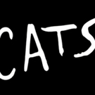 BWW Previews: CATS at Ronacher