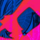 The Carnegie Presents THE HUNCHBACK OF NOTRE DAME