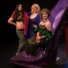 2017 BroadwayWorld Chicago Awards Finalists Announced!