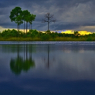 BaCA Presents Stunning Photo Exhibit 'The Everglades: Spirit Of The Land' Photo