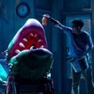Photo Flash: First Look at LITTLE SHOP OF HORRORS At The Drury Lane Theatre