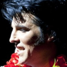 Guest Blog: Steve Michaels On THIS IS ELVIS Photo