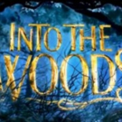 INTO THE WOODS Comes To Bigfork Summer Playhouse Through Today