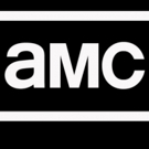 The Cast and Producers of AMC's THE WALKING DEAD, FEAR THE WALKING DEAD, & PREACHER…
